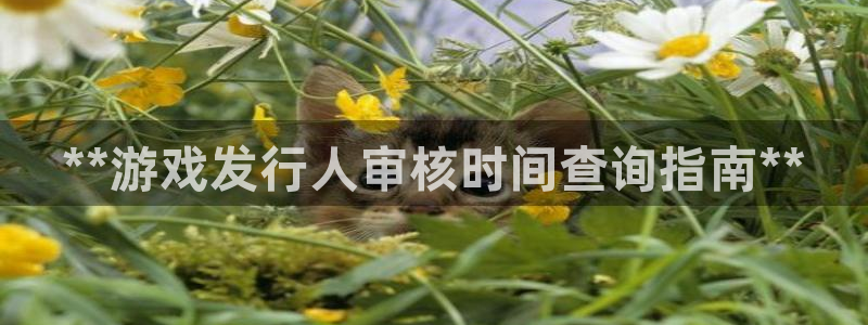 顺盈娱乐公司介绍图片高清