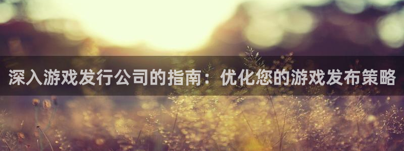 顺盈平台怎么样可靠吗：深入游戏发行公司的指南：优化您的游戏发布策略