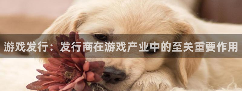 顺盈娱乐领导联系方式：游戏发行：发行商在游戏产业中的至关重要作用