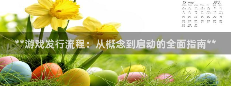 顺盈娱乐登录平台下载安装手机版：**游戏发行流程：从概念到启动的全面指南**
