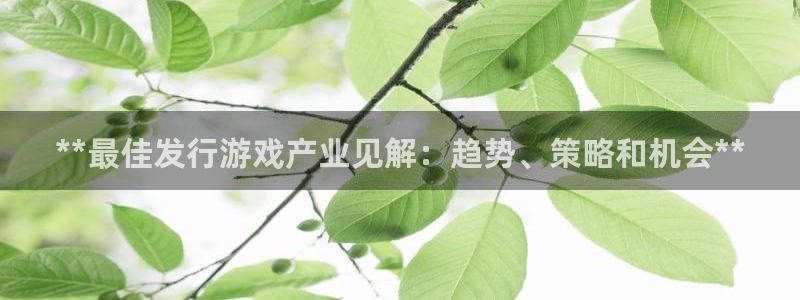 顺赢大师软件可不可靠：**最佳发行游戏产业见解：趋势、策略和机会**