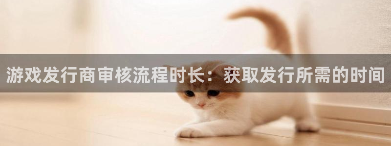 顺盈娱乐平台提现被关闭怎么回事儿呀：游戏发行商审核流程时长：获取发行所需的时间