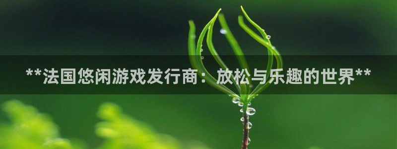 顺盈娱乐平台注册流程图：**法国悠闲游戏发行商：放松与乐趣的世界**
