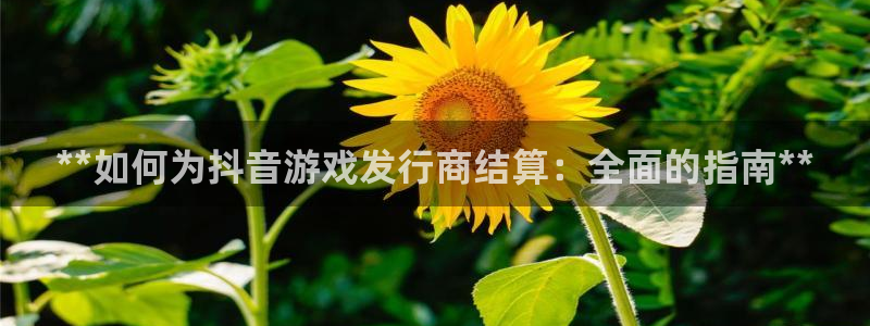 顺盈娱乐公司介绍图片高清：**如何为抖音游戏发行商结算：全面的指南**