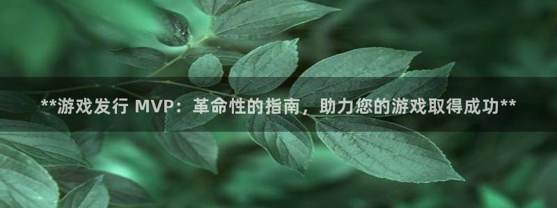 顺盈平台怎么样：**游戏发行 MVP：革命性的指南，助力您的游戏取得成功**