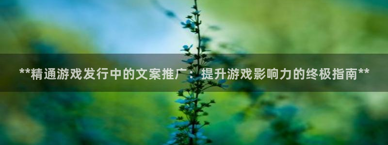 顺盈娱乐平台注册流程图：**精通游戏发行中的文案推广：提升游戏影响力的终极指南**