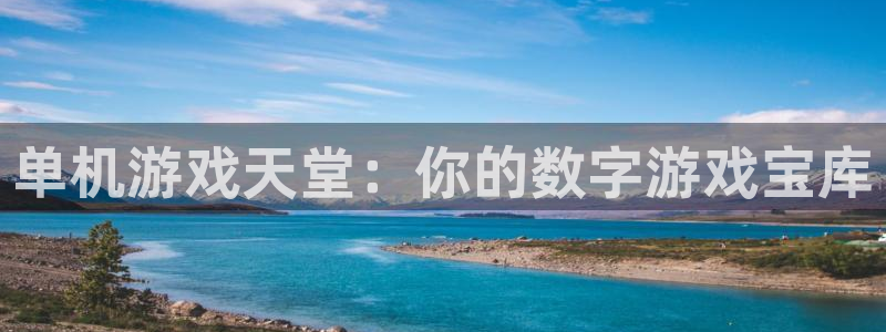 顺盈平台怎么样可靠吗：单机游戏天堂：你的数字游戏宝库