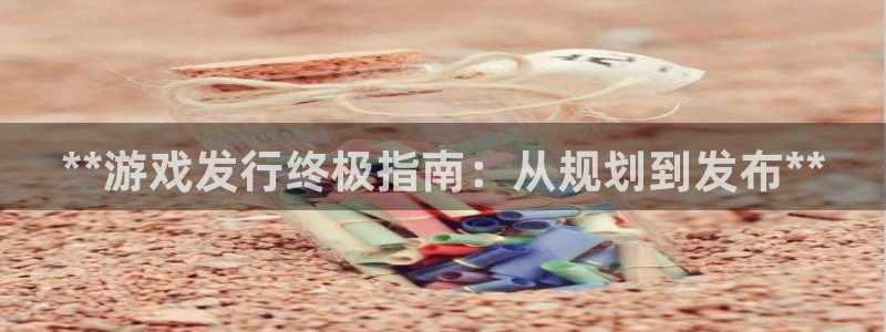 顺盈娱乐登录平台下载安装苹果：**游戏发行终极指南：从规划到发布**