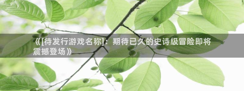 顺盈平台注册资金多少合适：《[待发行游戏名称]：期待已久的史诗级冒险即将
震撼登场》