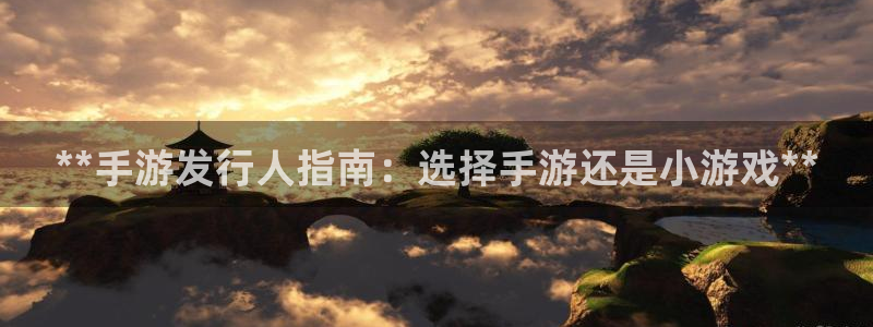 顺盈娱乐登录平台是什么软件：**手游发行人指南：选择手游还是小游戏**