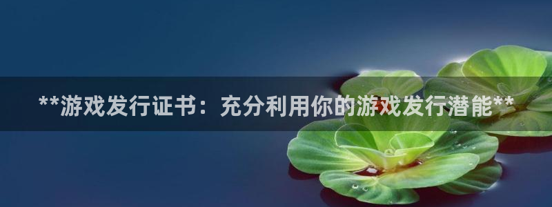 顺盈娱乐龙虎和平台：**游戏发行证书：充分利用你的游戏发行潜能**
