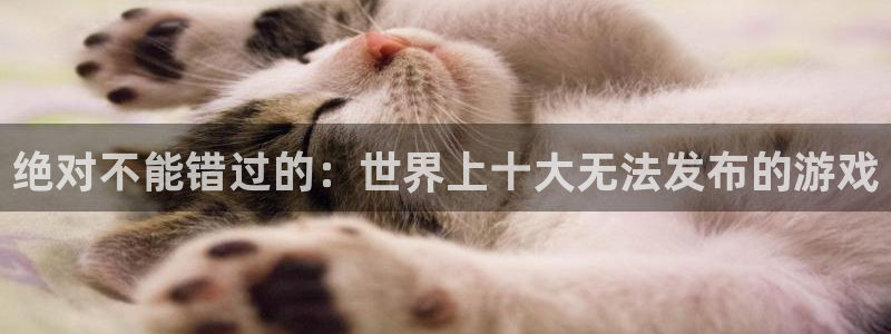 顺盈娱乐公司介绍图片：绝对不能错过的：世界上十大无法发布的游戏