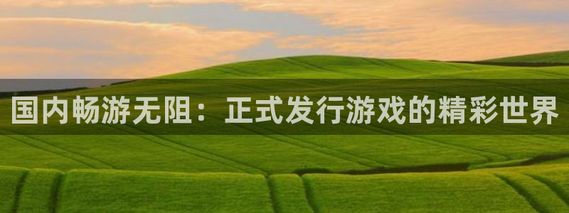 顺赢inka：国内畅游无阻：正式发行游戏的精彩世界