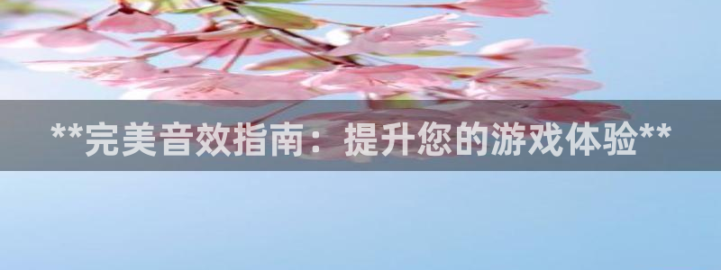 顺盈娱乐登录平台是什么平台：**完美音效指南：提升您的游戏体验**