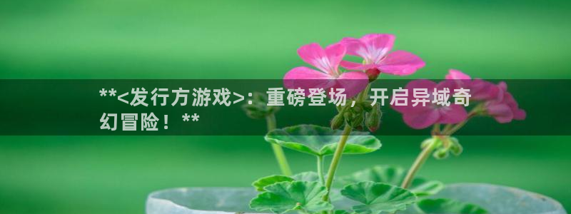 顺盈国际下载安装