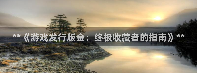 顺赢inka：**《游戏发行版金：终极收藏者的指南》**