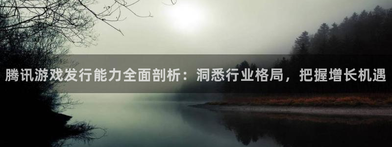 顺盈娱乐平台提现被关闭怎么回事儿：腾讯游戏发行能力全面剖析：洞悉行业格局，把握增长机遇