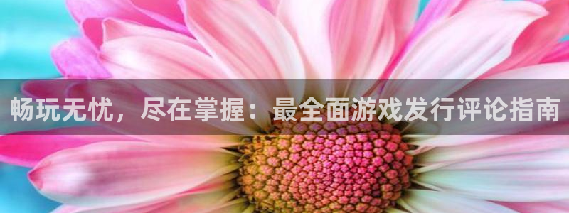 顺盈娱乐公司介绍图片大全：畅玩无忧，尽在掌握：最全面游戏发行评论指南