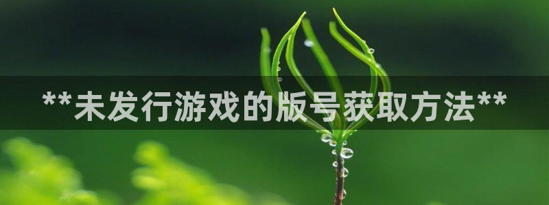 顺盈娱乐案7O777：**未发行游戏的版号获取方法**