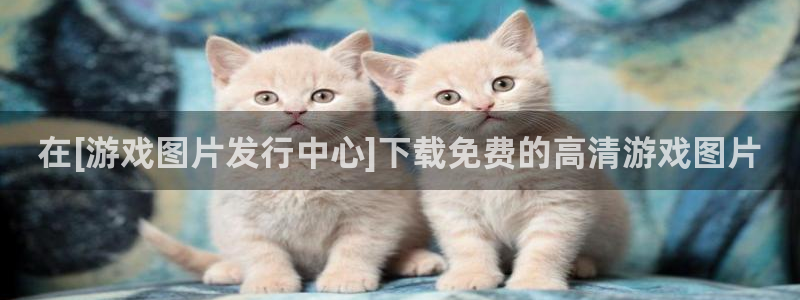 顺盈平台注册资金多少：在[游戏图片发行中心]下载免费的高清游戏图片