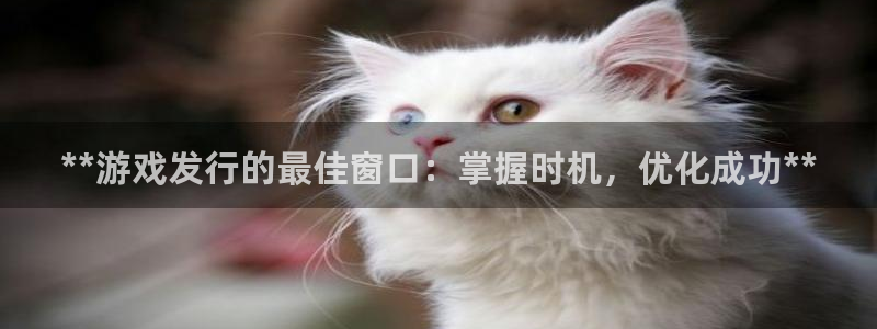 顺盈娱乐平台注册流程视频下载：**游戏发行的最佳窗口：掌握时机，优化成功**