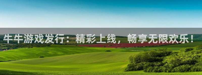 顺盈娱乐用什么加速器可以登录账号呢：牛牛游戏发行：精彩上线，畅享无限欢乐！