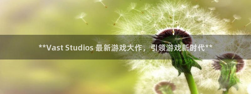 顺盈娱乐官网首页入口网站：**Vast Studios 最新游戏大作，引领游戏新时代**