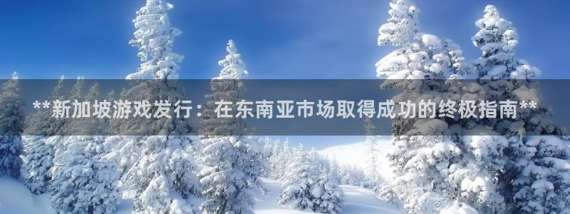 顺盈平台注册网址：**新加坡游戏发行：在东南亚市场取得成功的终极指南**