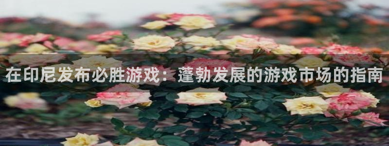 顺盈娱乐登录平台是什么软件啊：在印尼发布必胜游戏：蓬勃发展的游戏市场的指南