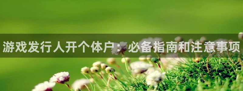 顺盈娱乐官网首页登录网址：游戏发行人开个体户：必备指南和注意事项