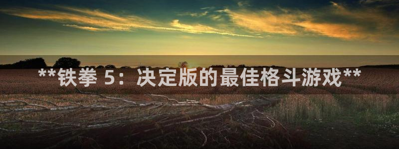 顺盈平台注册资金多少合适：**铁拳 5：决定版的最佳格斗游戏**