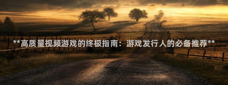 顺赢娱乐：**高质量视频游戏的终极指南：游戏发行人的必备推荐**