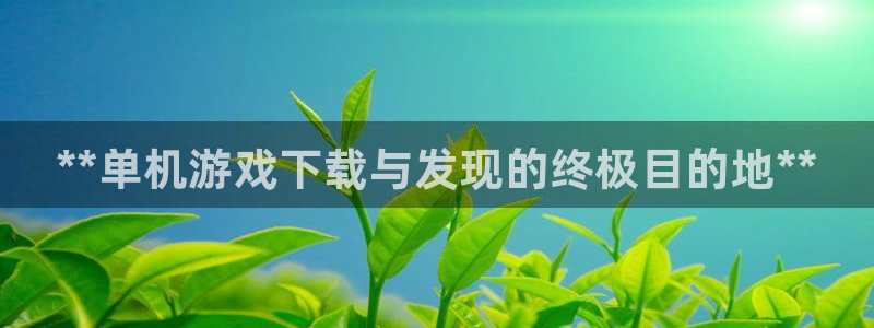顺盈娱乐官网首页登录入口：**单机游戏下载与发现的终极目的地**