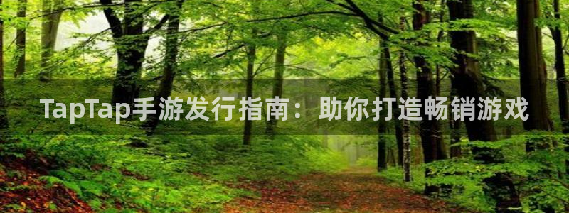 顺盈娱乐平台注册流程视频播放：TapTap手游发行指南：助你打造畅销游戏