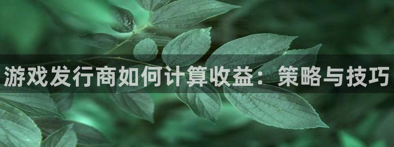 顺盈娱乐官网首页网址查询：游戏发行商如何计算收益：策略与技巧