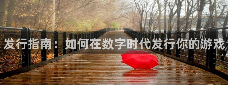 顺盈平台登陆：发行指南：如何在数字时代发行你的游戏