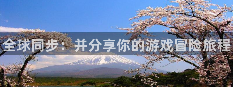 顺赢电子官网：全球同步：并分享你的游戏冒险旅程