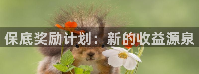 顺盈娱乐主管十7O777：保底奖励计划：新的收益源泉