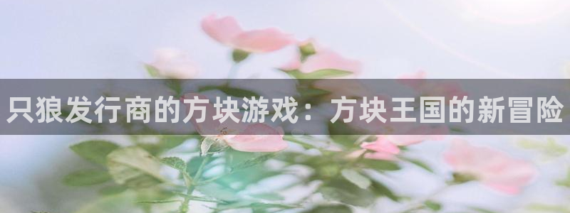 顺盈娱乐官网首页入口网站：只狼发行商的方块游戏：方块王国的新冒险