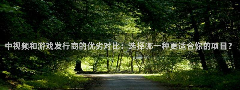 顺盈娱乐平台注册流程视频播放：中视频和游戏发行商的优劣对比：选择哪一种更适合你的项目？