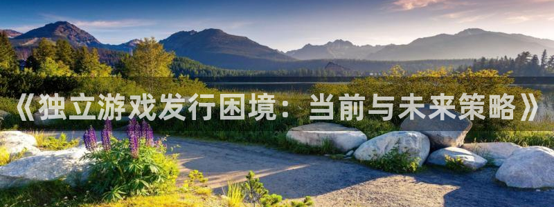 顺盈娱乐官网首页网址是什么