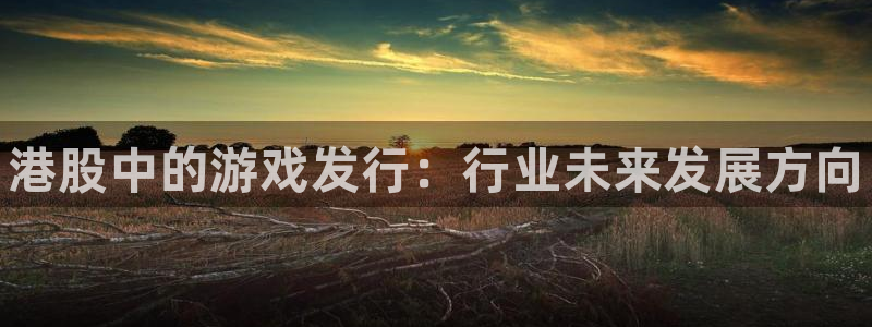 顺盈平台注册开户条件：港股中的游戏发行：行业未来发展方向